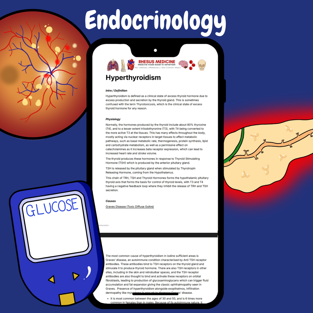 Endocrinology