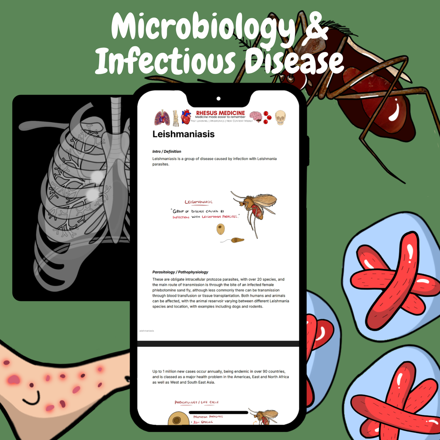 Microbiology & Infectious Disease