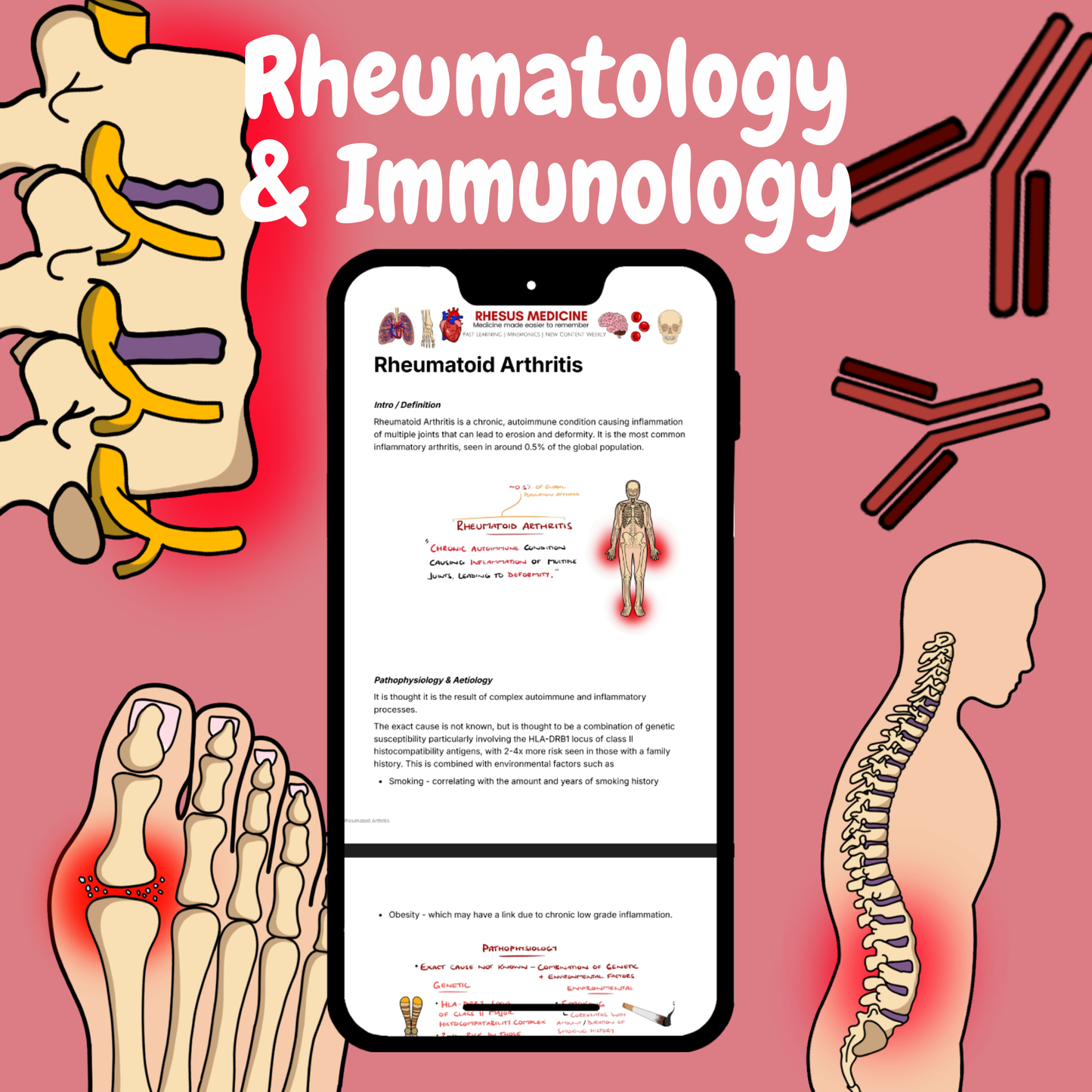 Rheumatology & Immunology