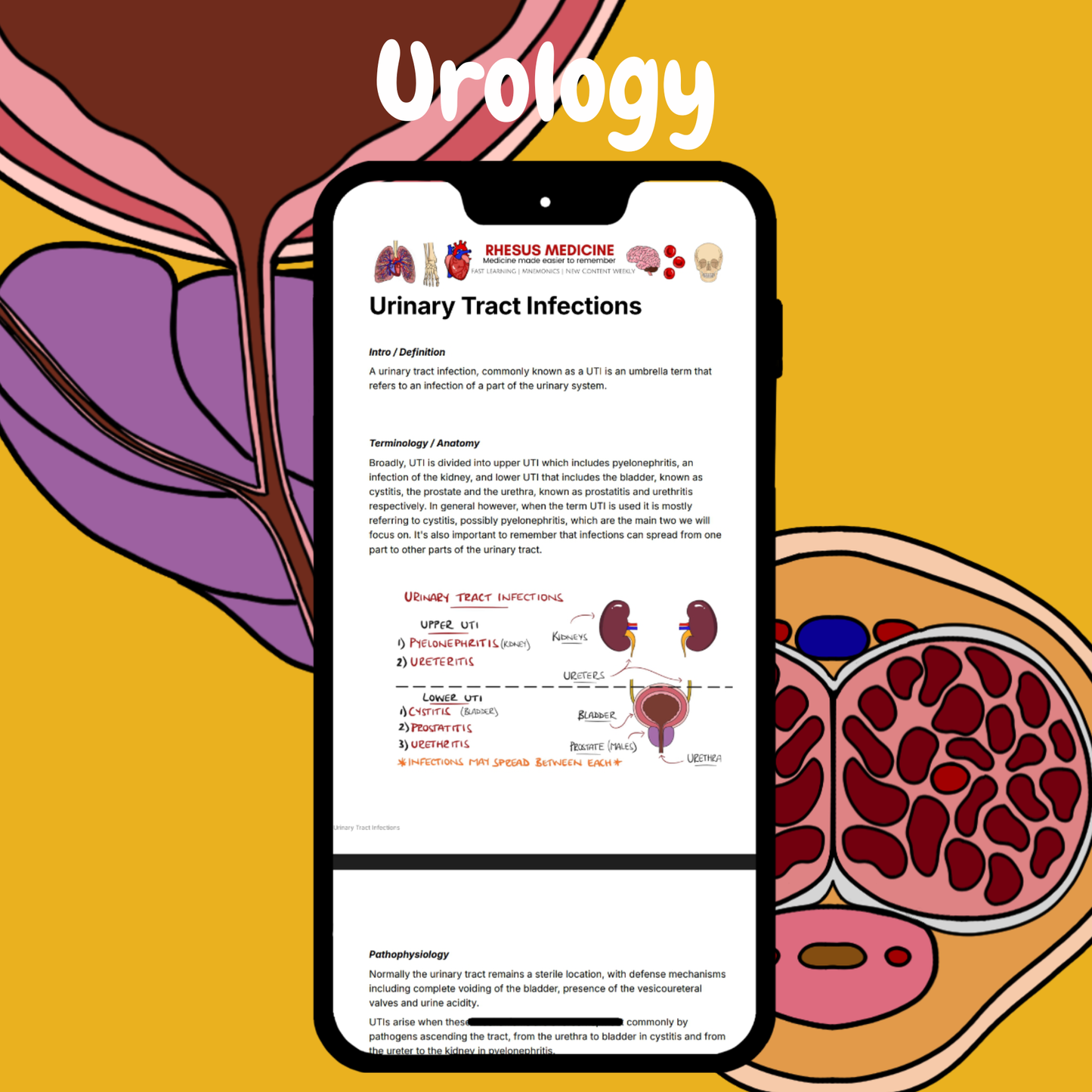 Urology