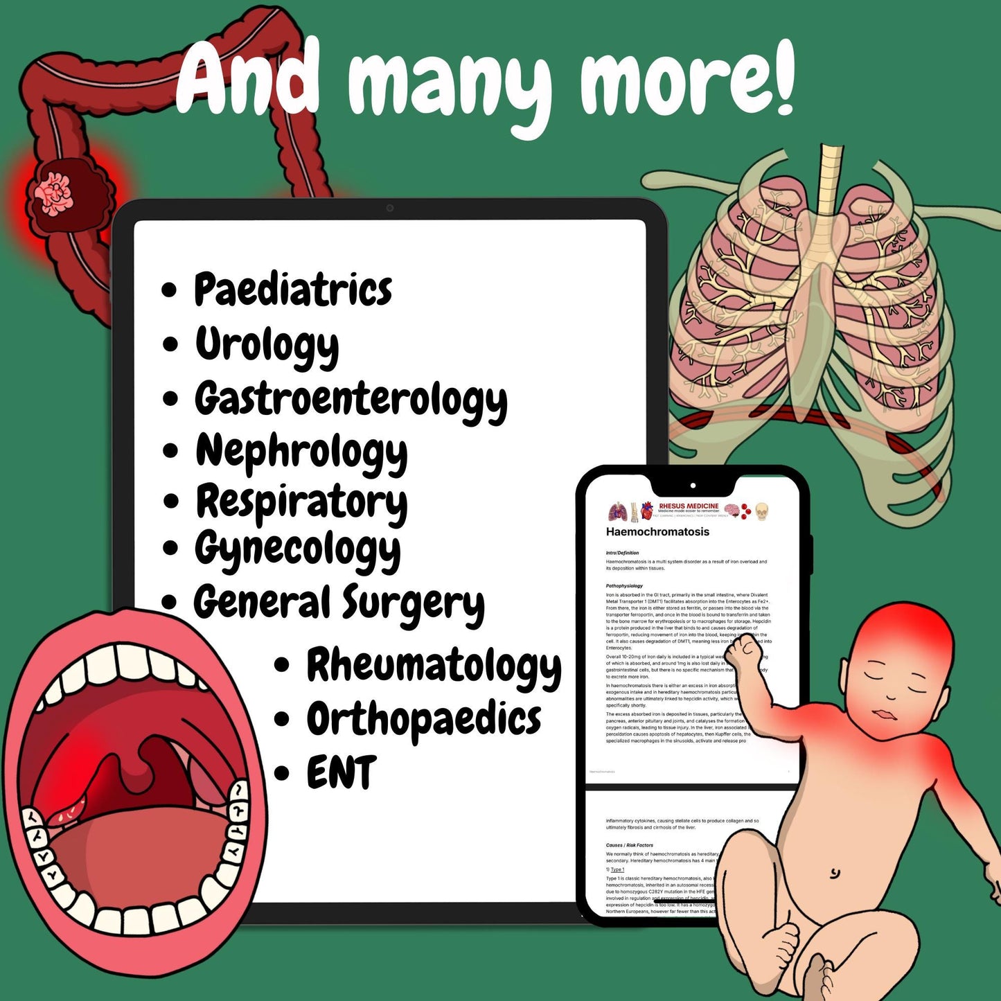 PDF Access Bundle - Access to All Rhesus Medicine PDFs!