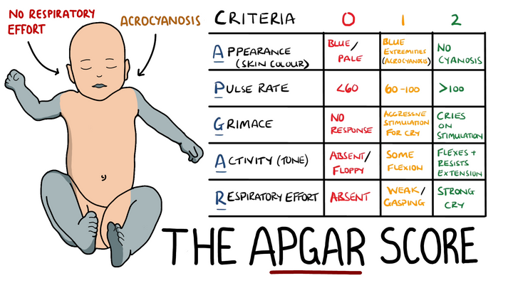 APGAR Score