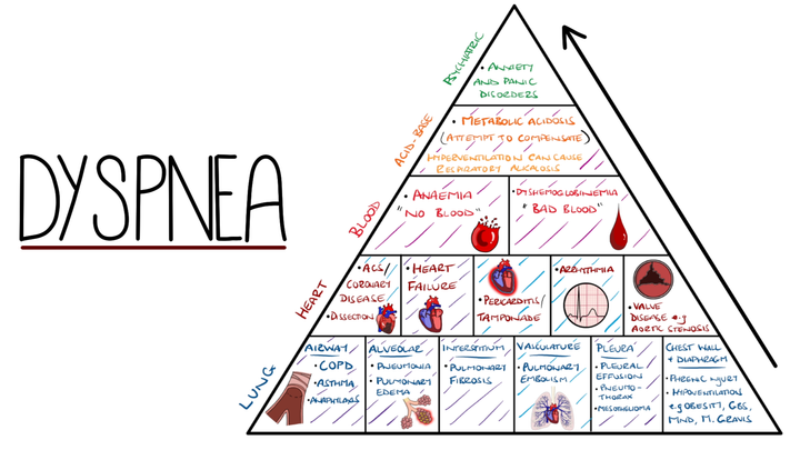 Approach to Shortness of Breath