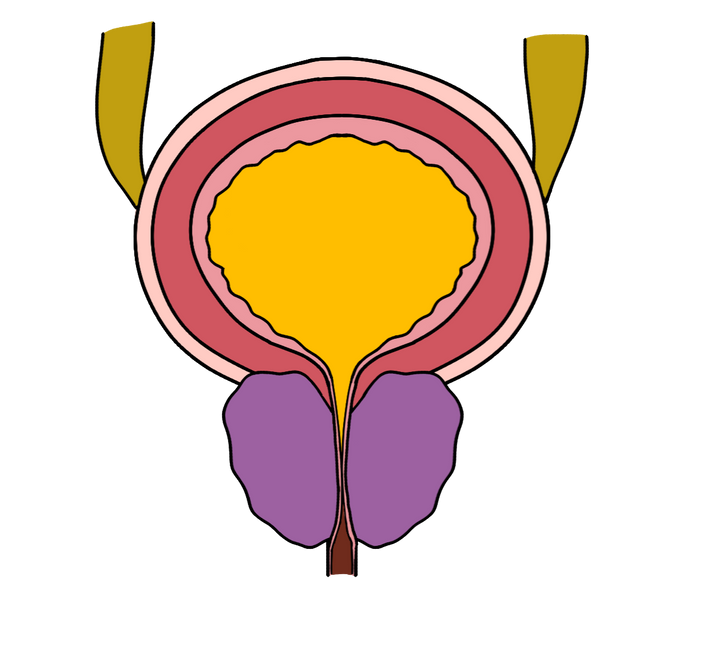 Everything in Urology