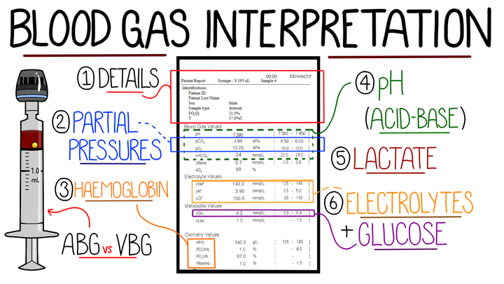 Blood Gas Interpretation
