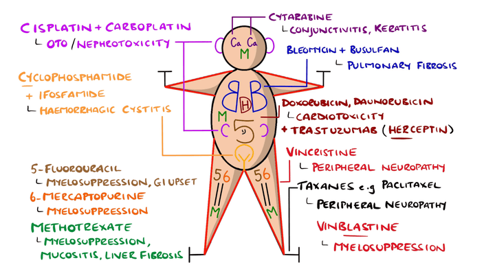 Chemotherapy Side Effects - The Chemo Tox Man