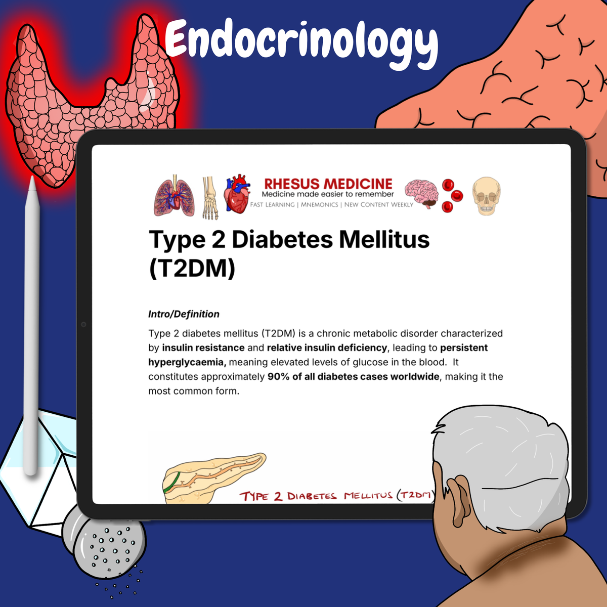 Endocrinology