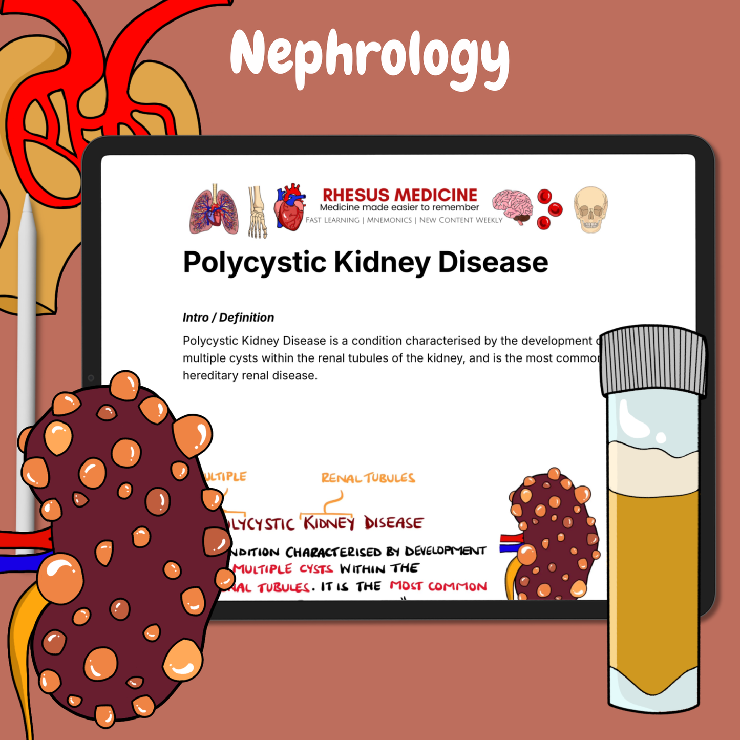 Nephrology