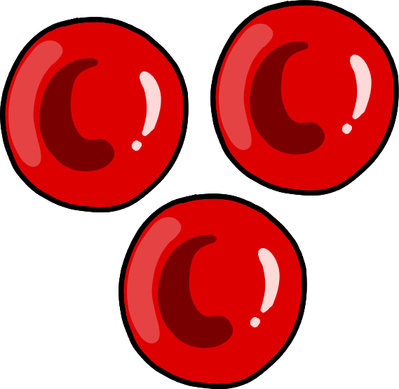 Everything in Haematology 