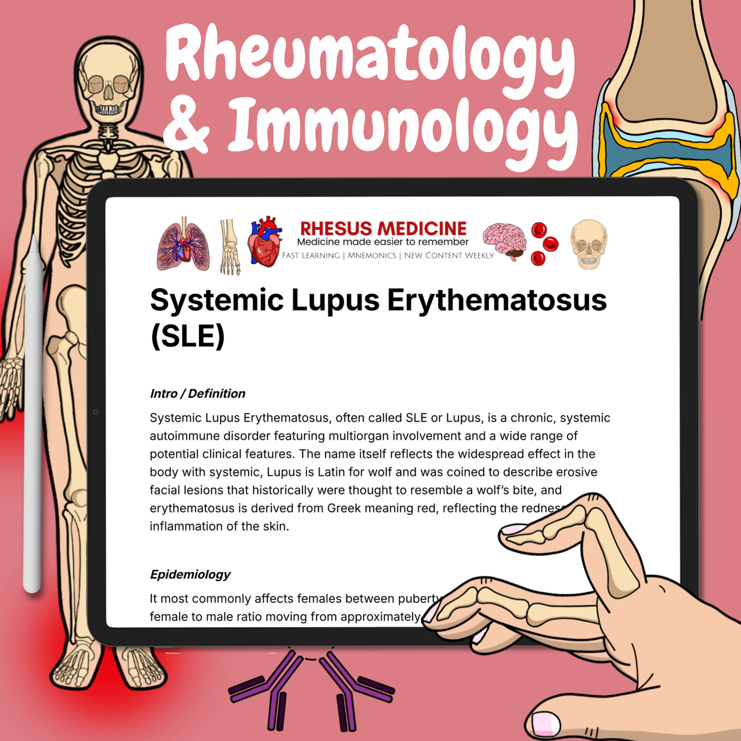 Rheumatology & Immunology