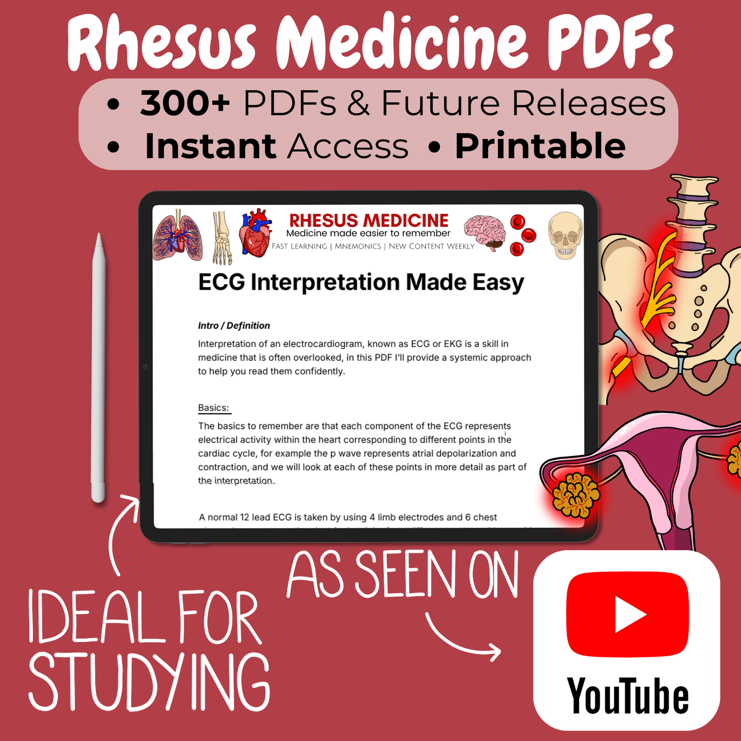 PDF Bundle - access to all 300+ Rhesus Medicine PDFs!