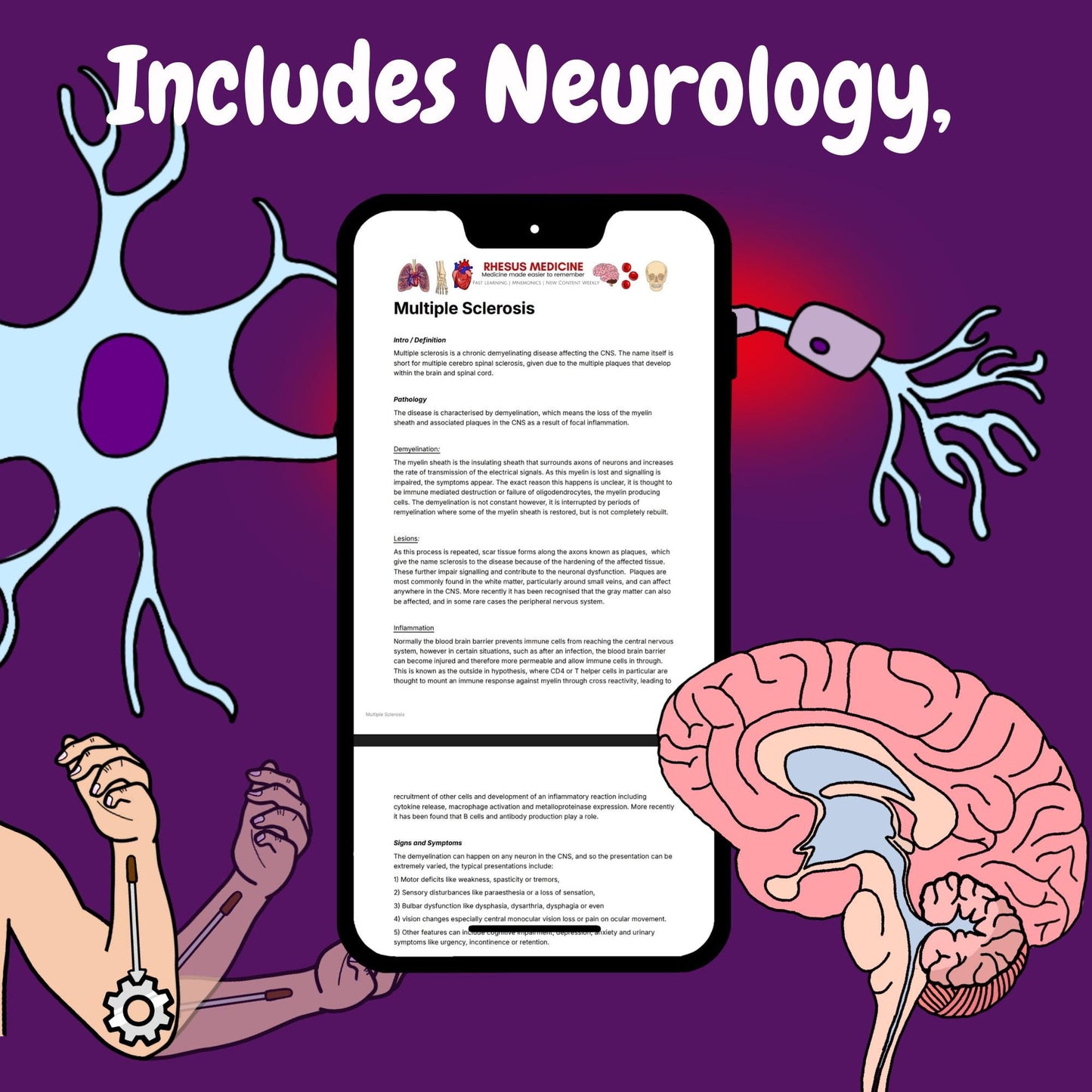 PDF Access Bundle - Access to All Rhesus Medicine PDFs!