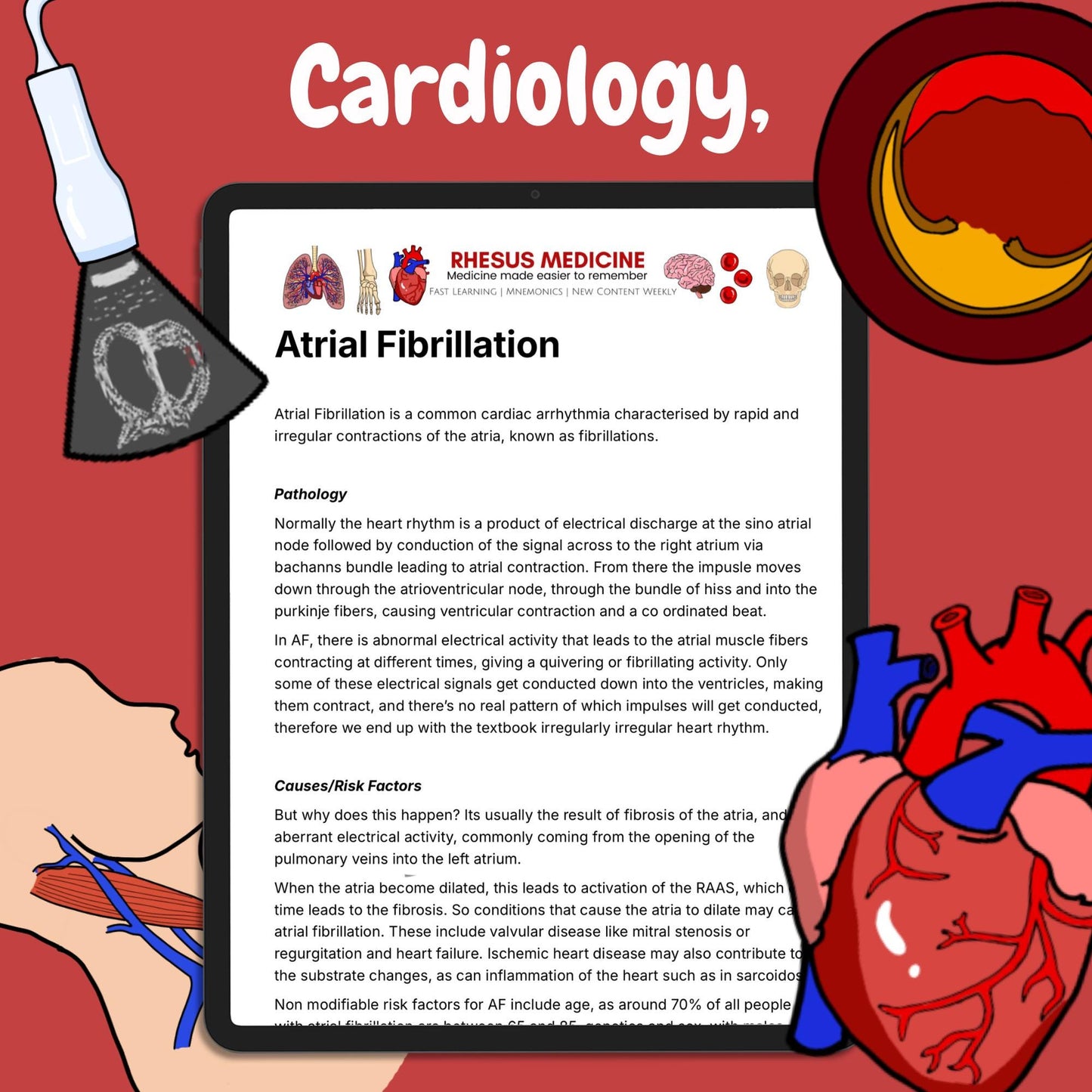 PDF Access Bundle - Access to All Rhesus Medicine PDFs!