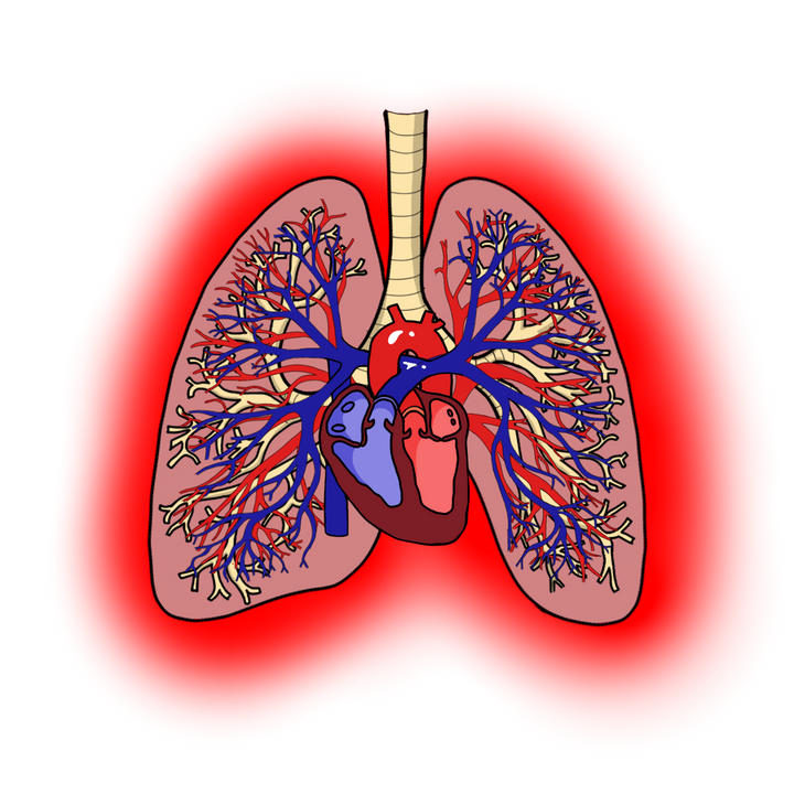 Everything in Respiratory 