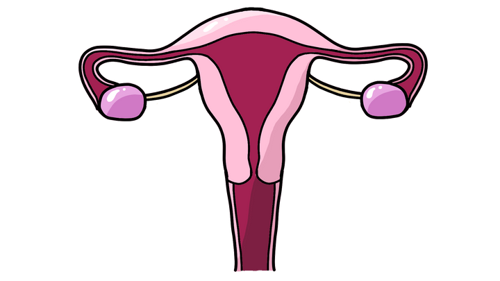 Everything in Obstetrics & Gynecology